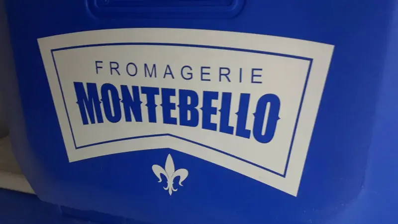 Lettrage découpé
